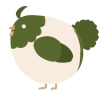 A cream and olive chicken with a head pattern
