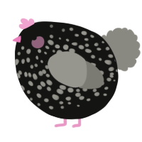 A black and ash chicken with a speckle pattern