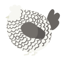 A white and grey chicken with a lace pattern