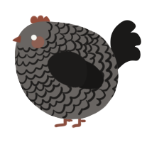 A grey and sable chicken with a lace pattern