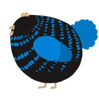 A sable and sapphire chicken with a bar pattern