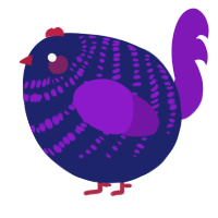 A navy and violet chicken with a bar pattern