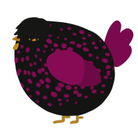 A black and wine chicken with a speckle pattern