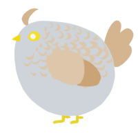 A mist and beige chicken with a half-lace pattern