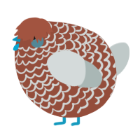 A russet and silver chicken with a lace pattern