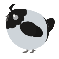 A mist and sable chicken with a head pattern