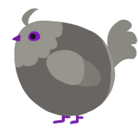 A grey and ash chicken with a head pattern