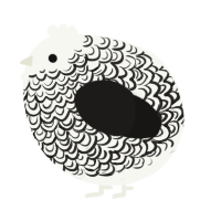 A white and sable chicken with a double-lace pattern