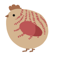 A beige and red chicken with a half-bar pattern