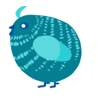 A sea and aqua chicken with a bar pattern