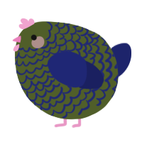 A olive and navy chicken with a lace pattern