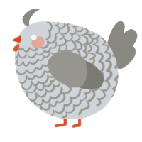 A mist and ash chicken with a lace pattern
