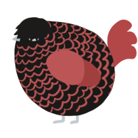 A sable and red chicken with a lace pattern