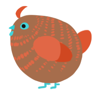 A brown and vermilion chicken with a bar pattern