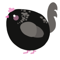 A black and grey chicken with a neck-speckle pattern