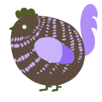 A bark and lilac chicken with a bar pattern