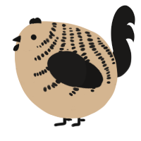 A beige and sable chicken with a half-bar pattern