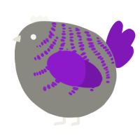 A ash and violet chicken with a half-bar pattern