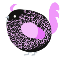 A black and lavender chicken with a double-lace pattern