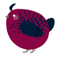 A maroon and tumblr chicken with a half-lace pattern