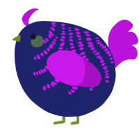 A navy and amethyst chicken with a half-bar pattern