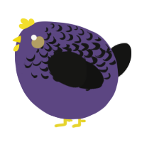 A overcast and black chicken with a half-lace pattern