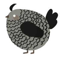 A ash and sable chicken with a lace pattern