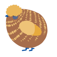 A brown and honey chicken with a bar pattern