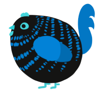 A black and sapphire chicken with a bar pattern