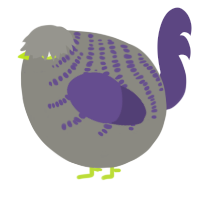 A ash and overcast chicken with a half-bar pattern