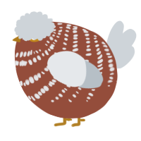 A russet and mist chicken with a bar pattern