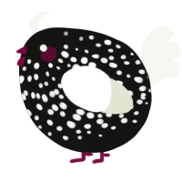 A black and white chicken with a speckle pattern