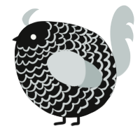 A black and silver chicken with a lace pattern