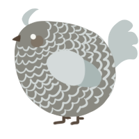 A ash and silver chicken with a lace pattern