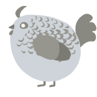 A mist and ash chicken with a half-lace pattern
