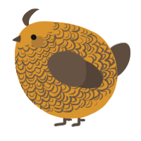 A orange and bark chicken with a double-lace pattern