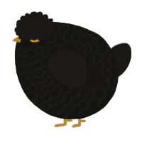 A black and sable chicken with a lace pattern