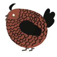A russet and black chicken with a lace pattern