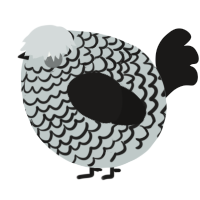 A silver and sable chicken with a lace pattern
