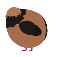 A brown and sable chicken with a head pattern