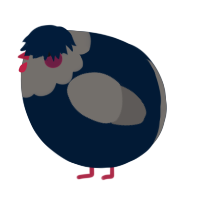 A tumblr and grey chicken with a head pattern