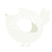 A white chicken with a half-lace pattern