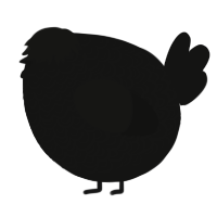 A black chicken with a double-lace pattern