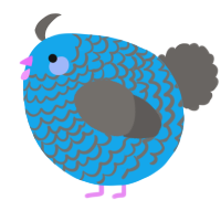 A sky and grey chicken with a lace pattern