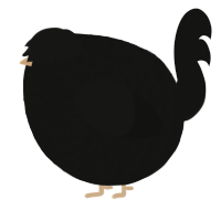 A black chicken with a lace pattern