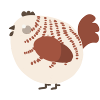 A cream and russet chicken with a half-bar pattern