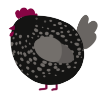 A black and grey chicken with a speckle pattern