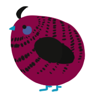 A maroon and black chicken with a bar pattern