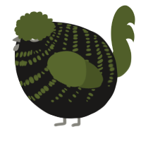 A sable and olive chicken with a bar pattern