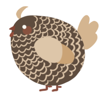 A bark and beige chicken with a lace pattern